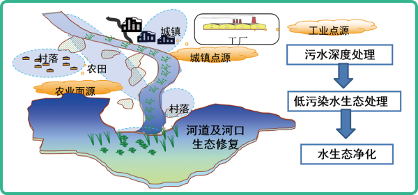 人工濕地，人工濕地建設(shè)