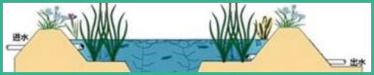 人工濕地，表面流人工濕地