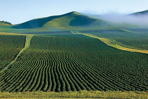 研讀土壤修復行業發展報告（咨詢篇）、（工程篇）