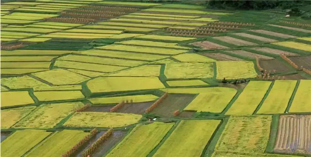 1609314213697857.jpg 1609314213697857.jpg