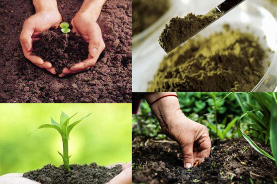 1611039723669494.jpg 土壤環境1.jpg