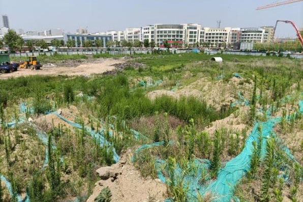 土壤調查 土壤調查