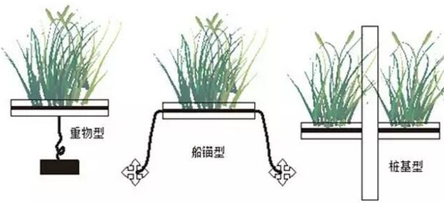 生態浮島結構示意圖 生態浮島結構示意圖