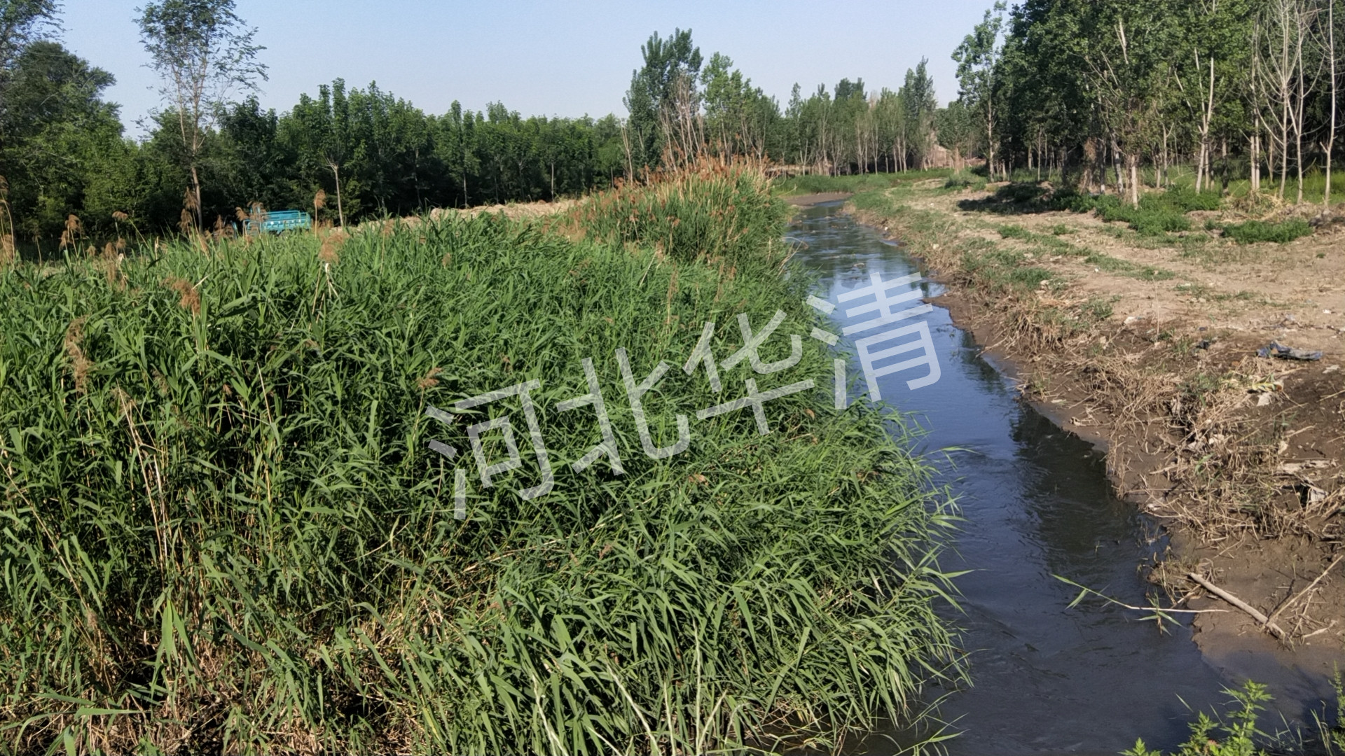 1625124259436503.jpg 微信圖片_20210629103710_副本.jpg