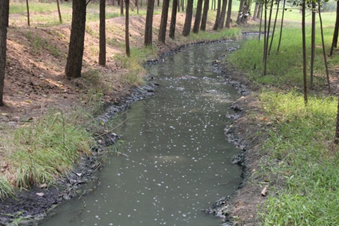 1635907890184026.png 圖片1_副本.png