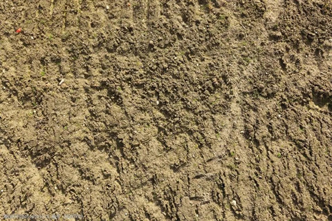 <a href=http://www.2623317.cc/turangjiance.html>土壤檢測</a> 土壤檢測